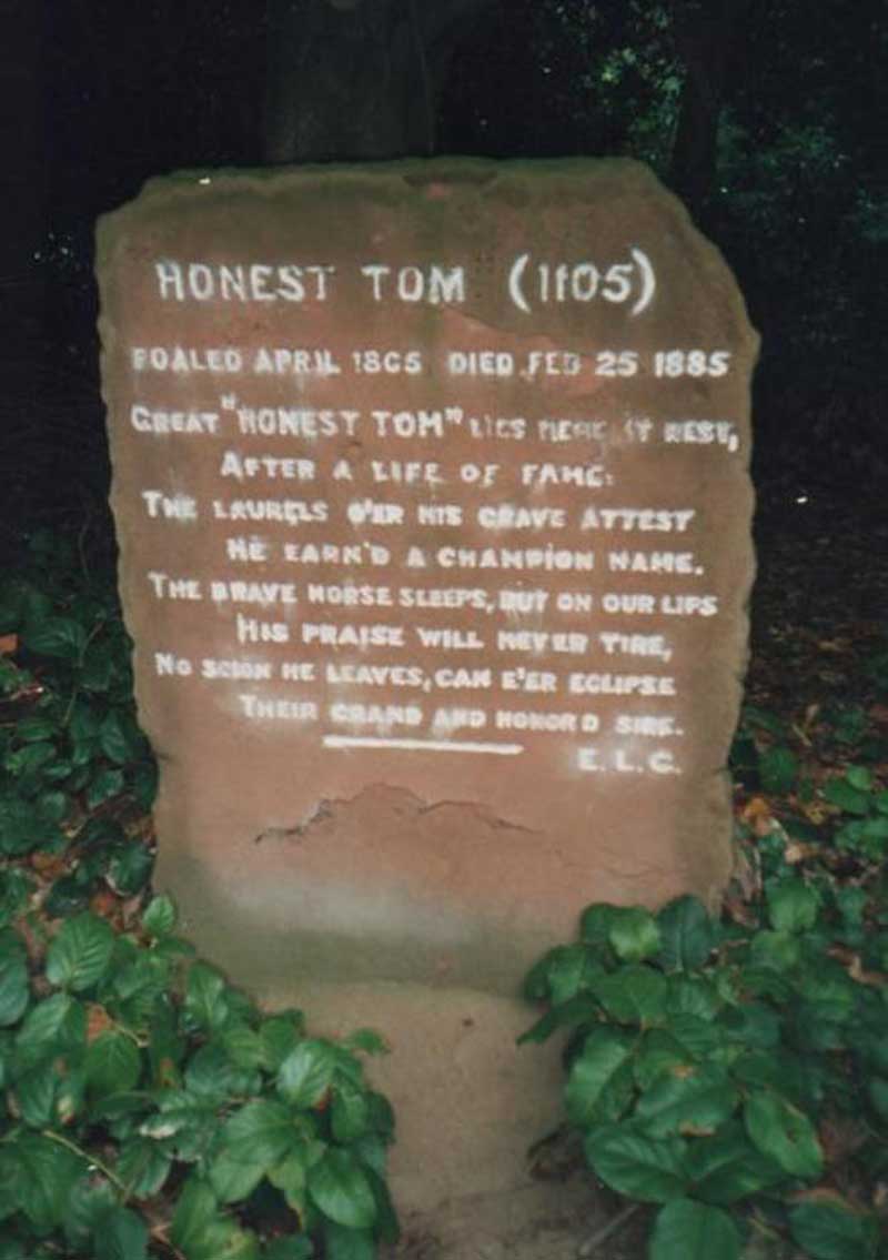 honest tom