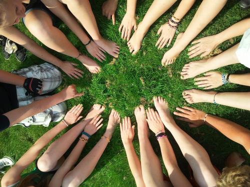SINGLETON WOODLAND VOLUNTEER GROUP