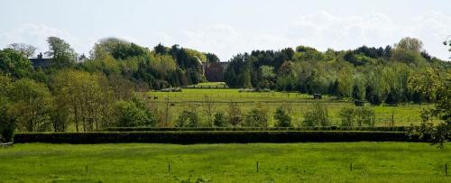 WOODLAND WALKS