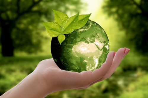 WOODLAND MANAGEMENT