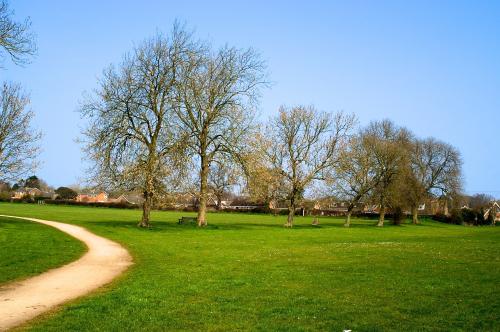 Singleton Village Green Project