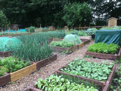 GARDEN PLOTS